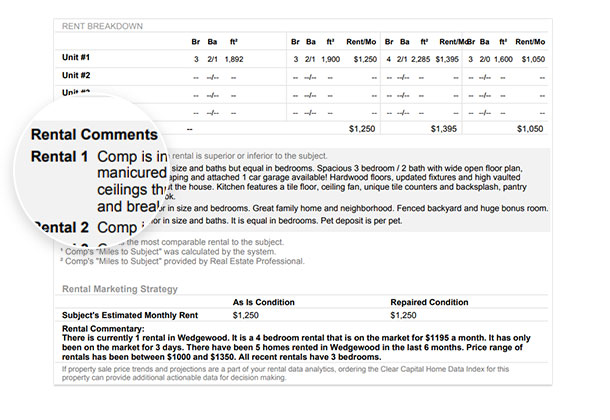 Rental Market Report