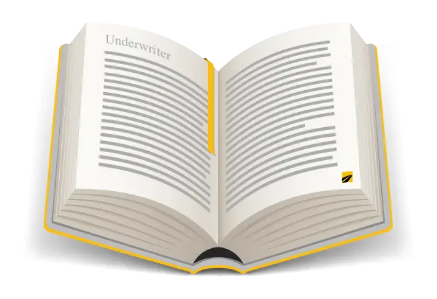 Definition of Underwriter