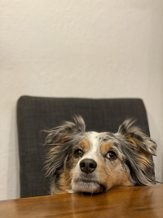 Work From Home Companions at Clear Capital