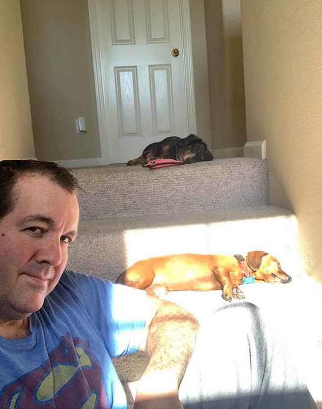 Work From Home Companions at Clear Capital