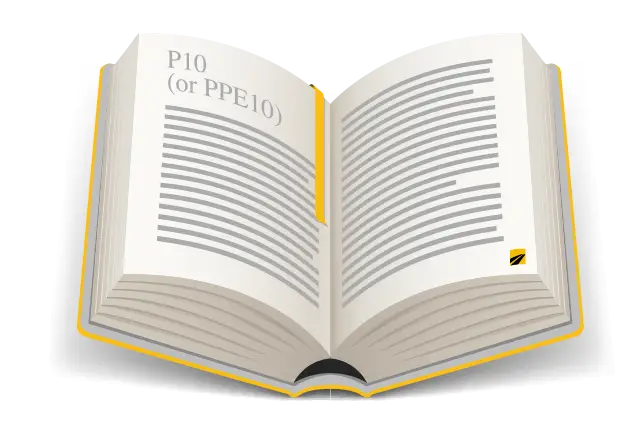 Definition of P10 (or PPE10)